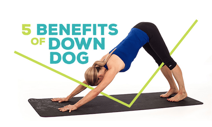 how do you do downward dog for beginners