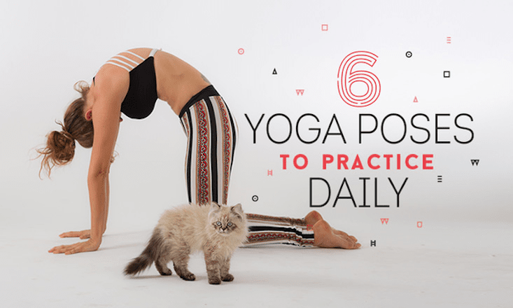 6 Yoga Poses To Practice Daily For Better Heart Health