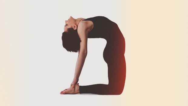 Camel Pose Variations