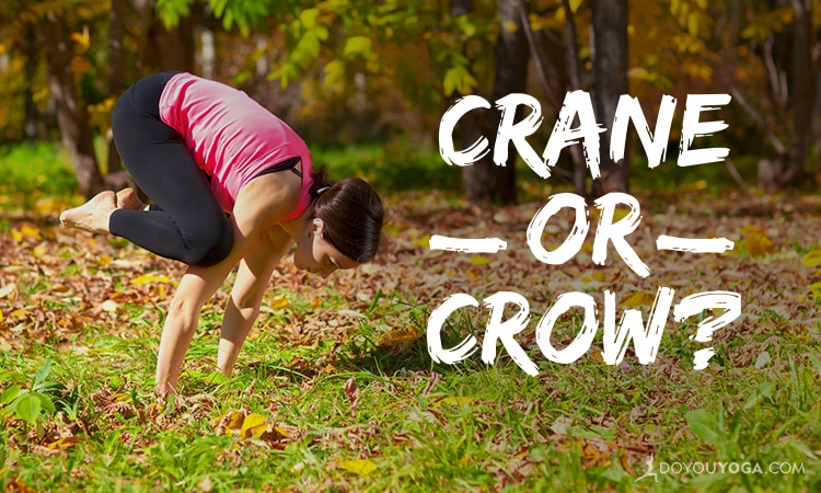 6 Tips to Fly Your Crow Pose