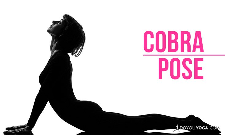 Cobra | Sivananda London | Classical Yoga