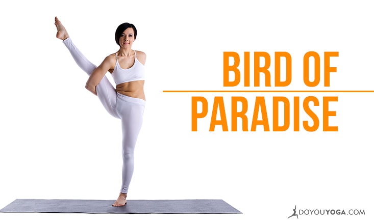 How to Do Svarga Dvijasana Bird of Paradise Pose