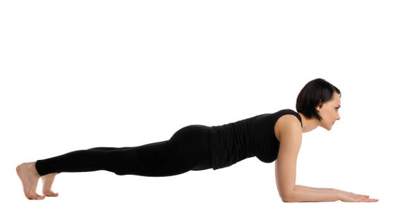 Four Limbed Staff Pose Flow Yoga (Chaturanga Dandasana Vinyasa