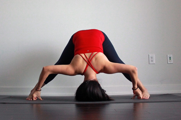 Uttanasana or Standing Forward Bend Pose