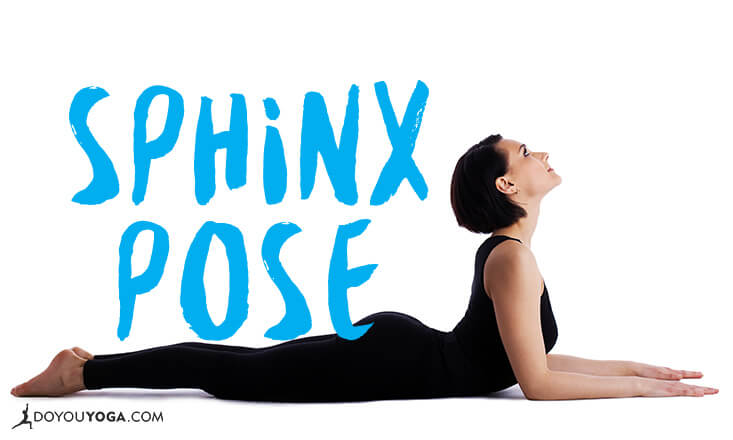 Yoga Fitness Pilates Women Sphinx Pose Pictures Photo | JPG Free Download -  Pikbest